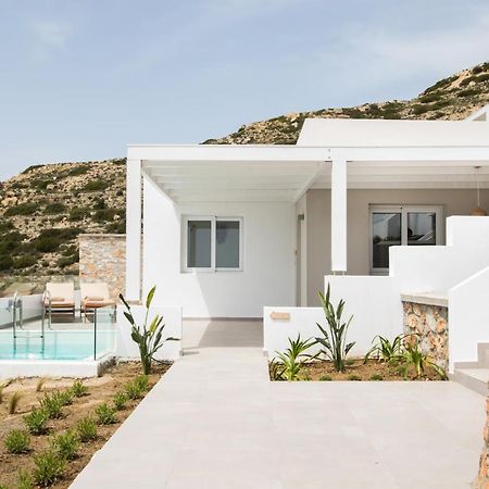 Theros Luxury Villas Damatria 외부 사진
