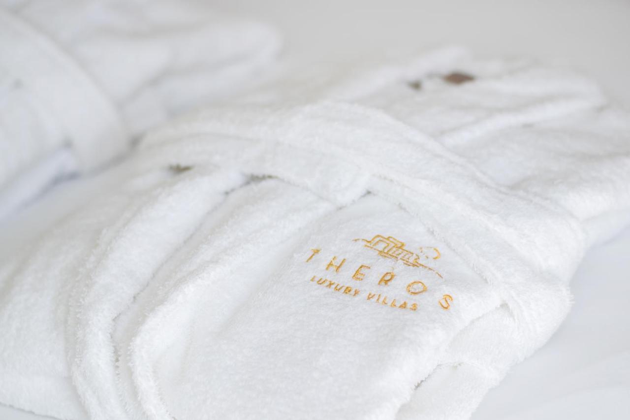 Theros Luxury Villas Damatria 외부 사진