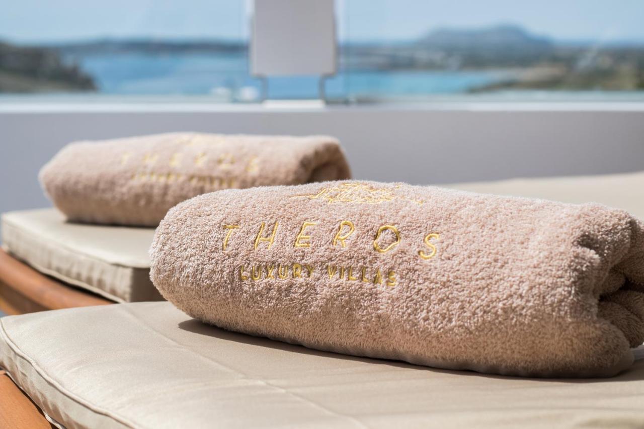 Theros Luxury Villas Damatria 외부 사진